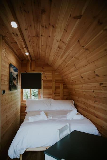 Pine Cosy Winter Cabin - Hot Tub & Log Burner Apartamento Barmouth Exterior foto