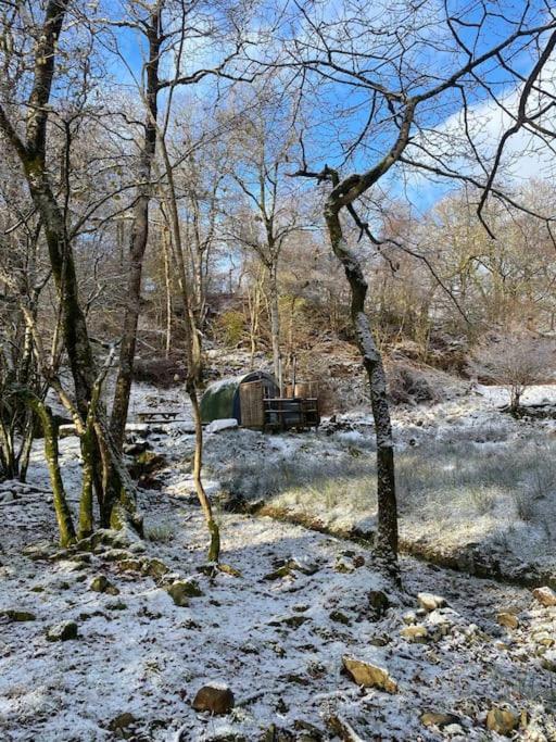 Pine Cosy Winter Cabin - Hot Tub & Log Burner Apartamento Barmouth Exterior foto
